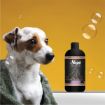 Sleepy Petcare Lavanta Yağlı Evcil Hayvan Şampuanı 500 ml resmi