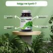 Talgy Health Spirulina 90 Tablet resmi