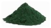Hawaiian Spirulina Pacifica Toz 100 g. resmi