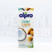 Alpro Hindistan Cevizi&Badem Sütü 1L