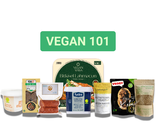 VEGAN 101 resmi