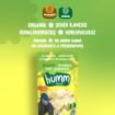 Humm Organik Muzlu Vegan Mini Küpler 30g resmi