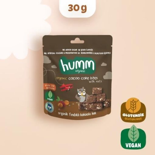 Humm Organik Vegan Kakaolu ve Fındıklı Kek 30g resmi