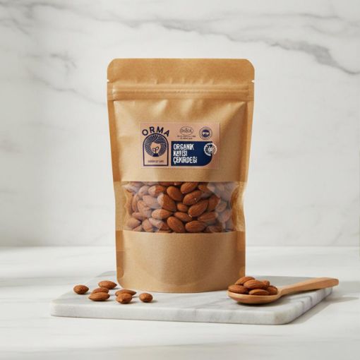 Orma Organik Kayısı Çekirdeği 100g resmi