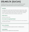 Newer Bitki Bazlı Sucuk (Dilmelik) 150g resmi