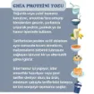 Naturiga %100 Chia Proteini Tozu 250g resmi