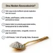 Naturiga %100 Chia Proteini Tozu 250g resmi